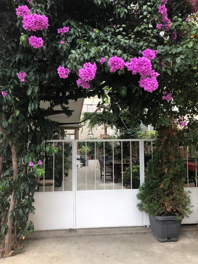 Apartmani Maretimo Primosten Ngoại thất bức ảnh