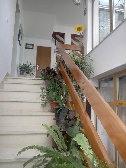 Apartmani Maretimo Primosten Ngoại thất bức ảnh